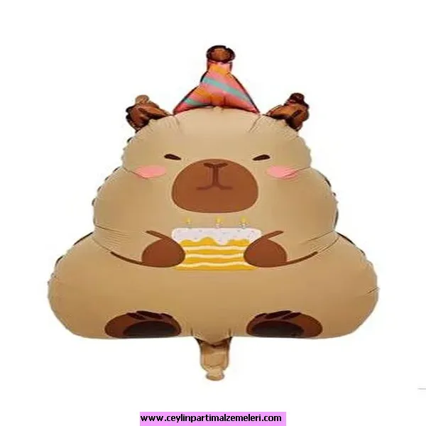 Kapipara Folyo Balon